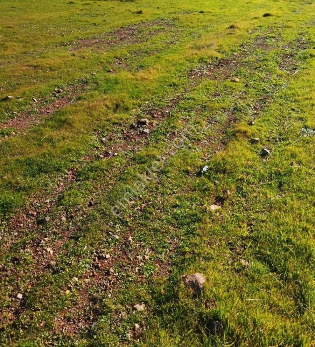 Fethiye Çamköyde Satılık 1000m İmarlı Arsa Ayrıntılar Açıklamada