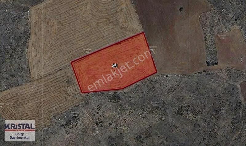 Karaalan'da Satılık 8.000 M2 Fırsat Tarla