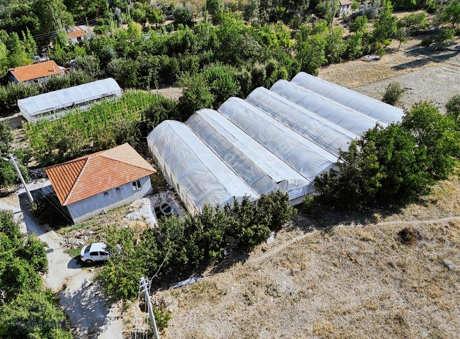 Kaş, Kalkan Sütleğende Müstakil Ev Ve Serası - Görsel 19