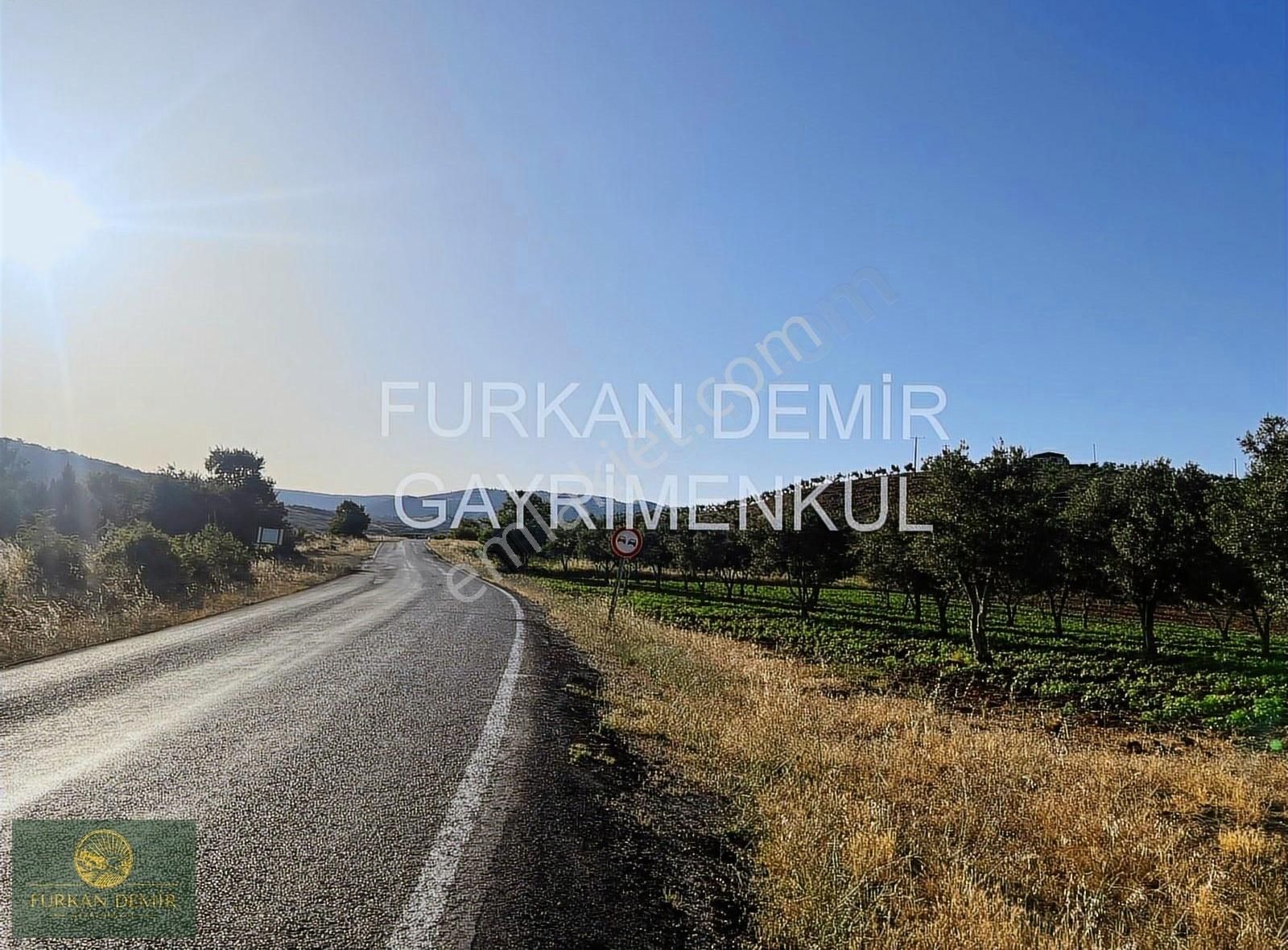 Furkan Demir'den Bursa İznik Bayındır 8377 M2 Satılık Zeytinlik - Görsel 7