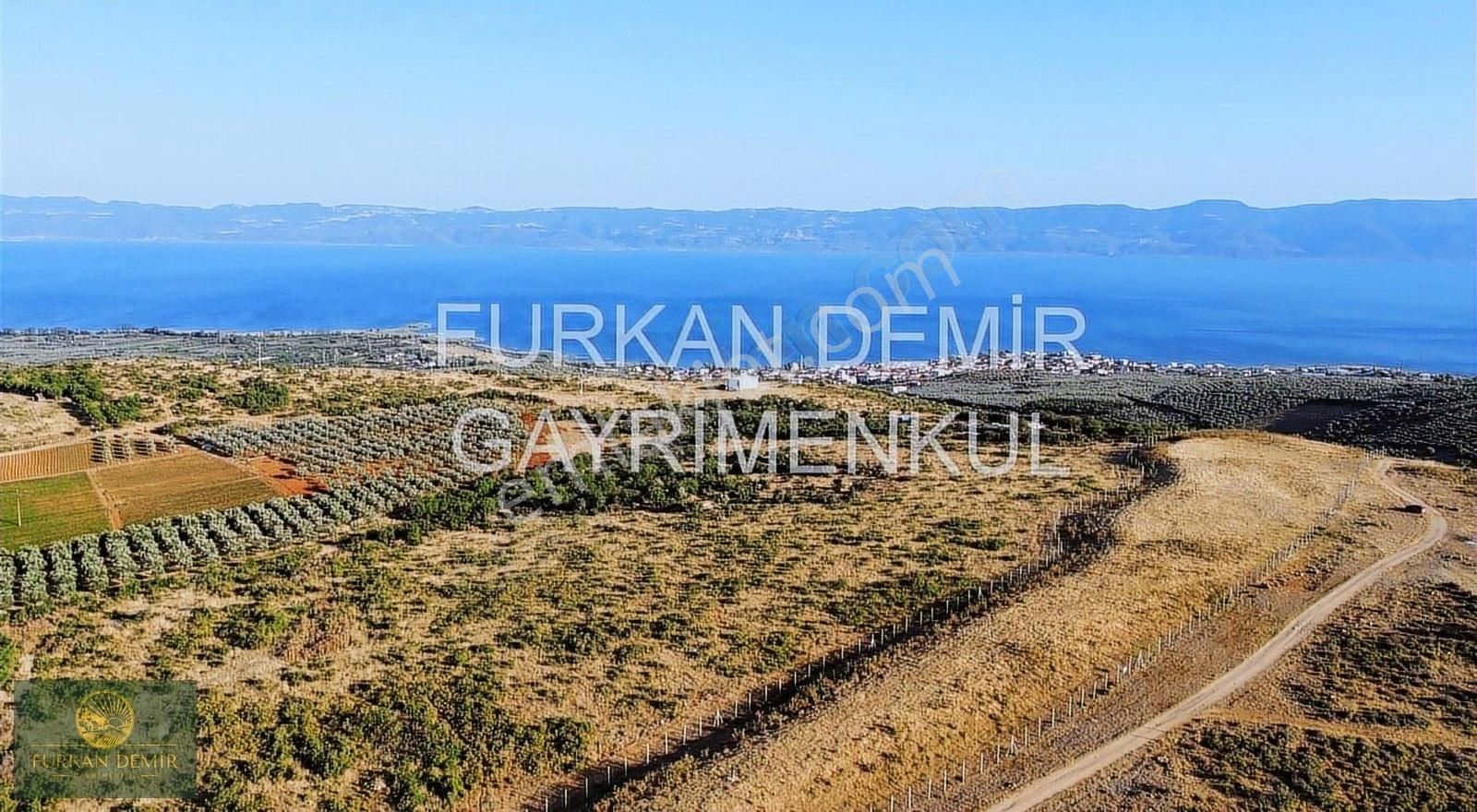 Furkan Demir'den Bursa İznik Bayındır 8377 M2 Satılık Zeytinlik - Görsel 4