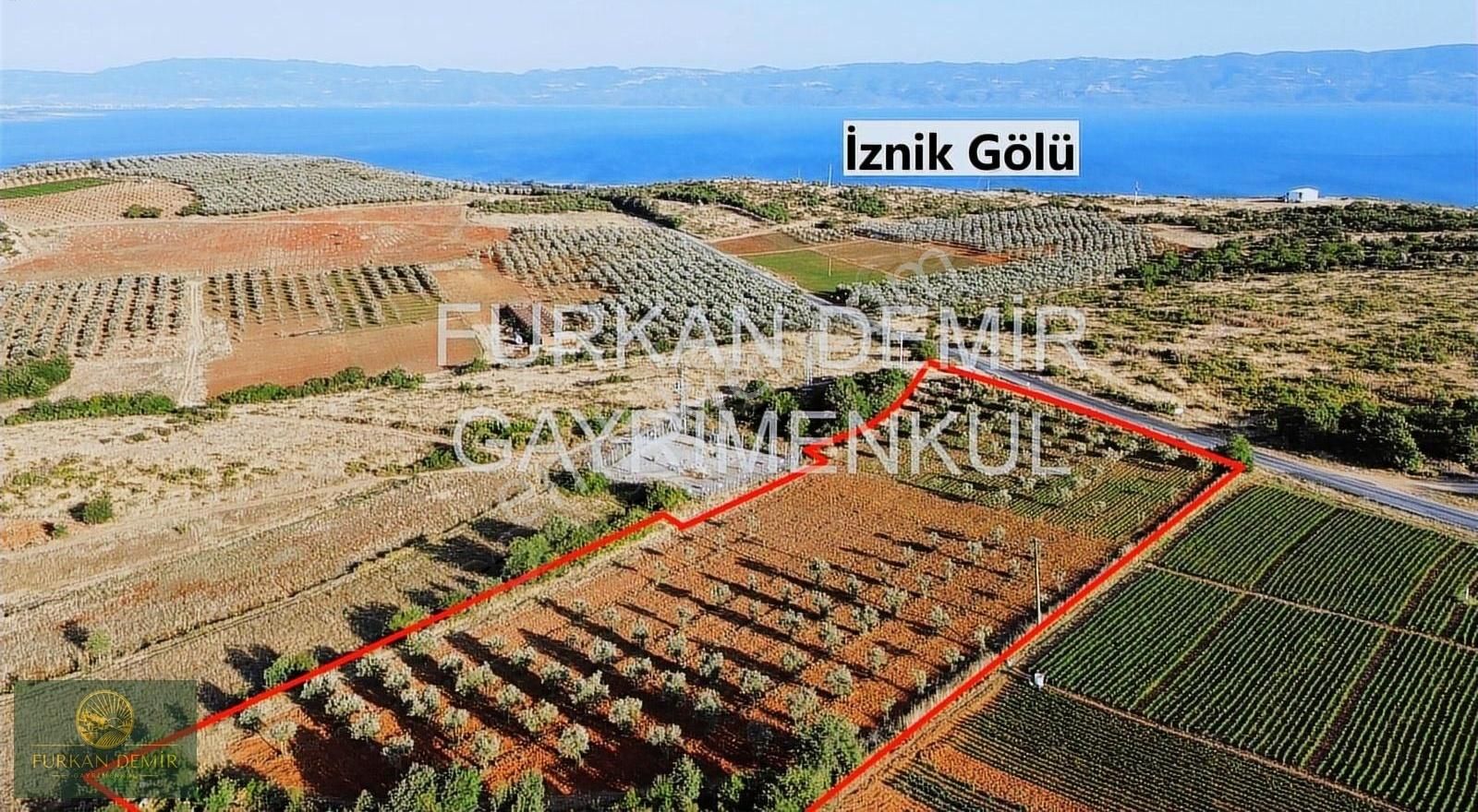 Furkan Demir'den Bursa İznik Bayındır 8377 M2 Satılık Zeytinlik - Görsel 6