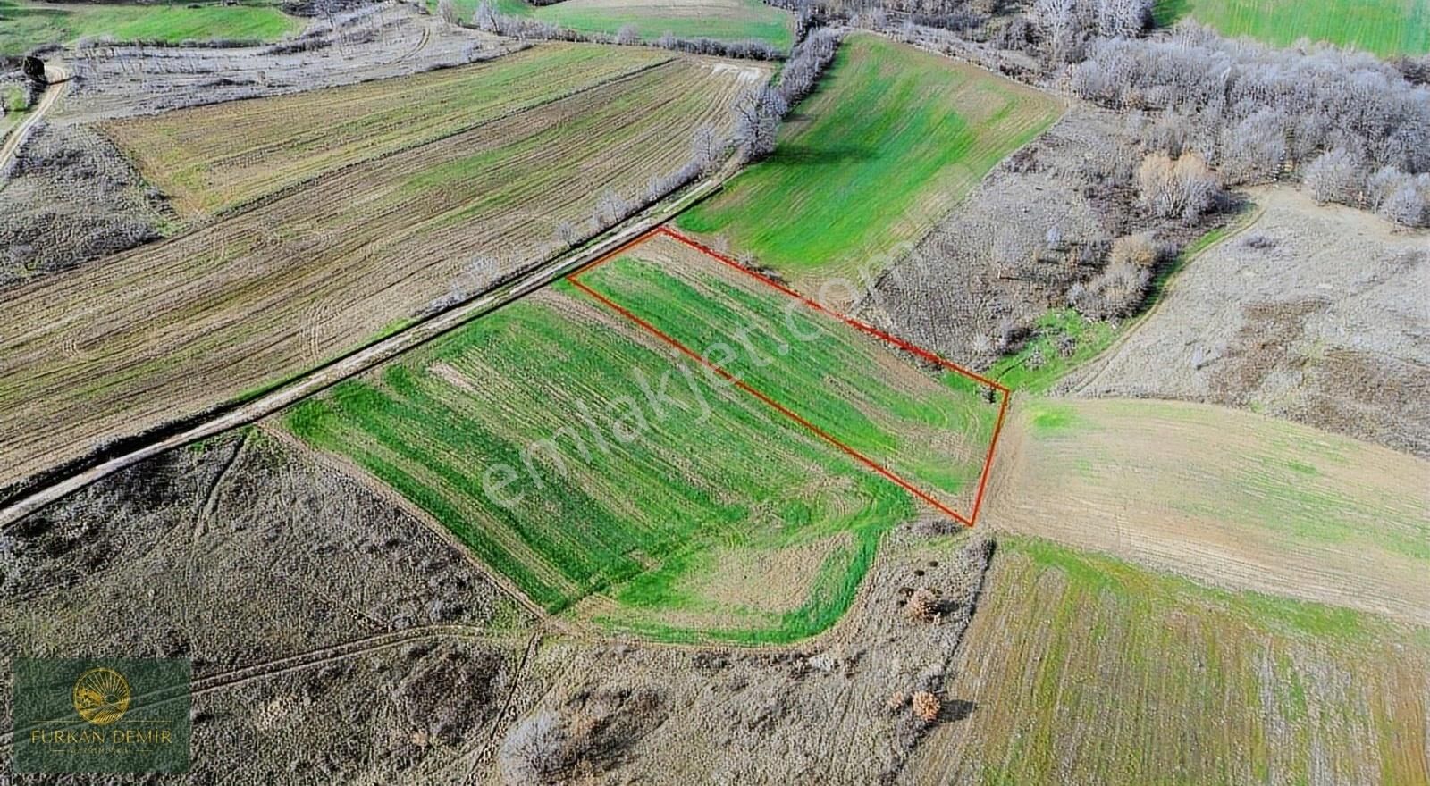 Furkan Demir'den Karamürsel Kızderbent'de 2765 M2 Satılık Tarla