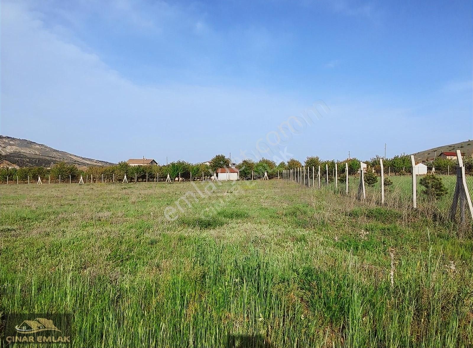 Çınar Emlak'tan Kumyurt'ta 5.000m2 Satılık Tarla