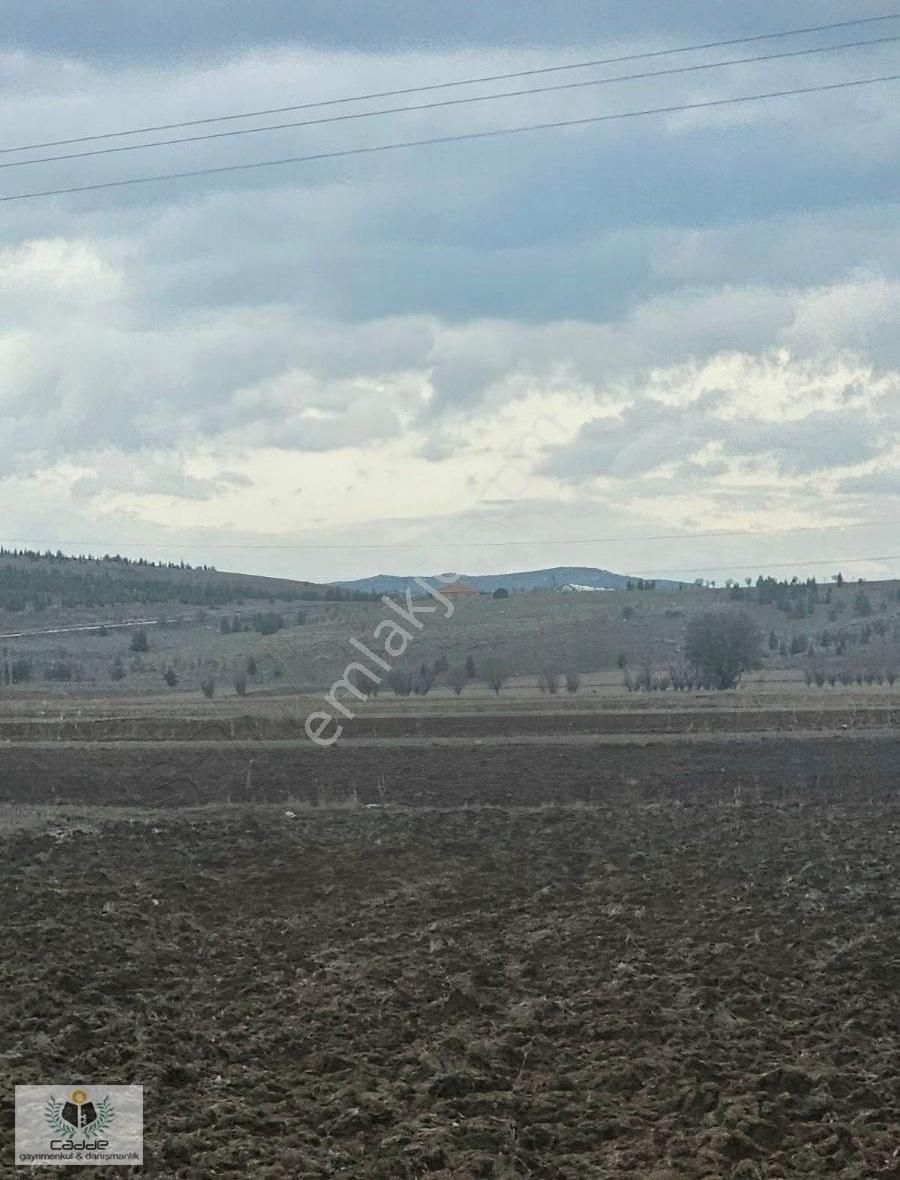 Burdur Yeşilovada Gençali Köyünde 1200 M2 Yatırımlık Tarla - Görsel 3