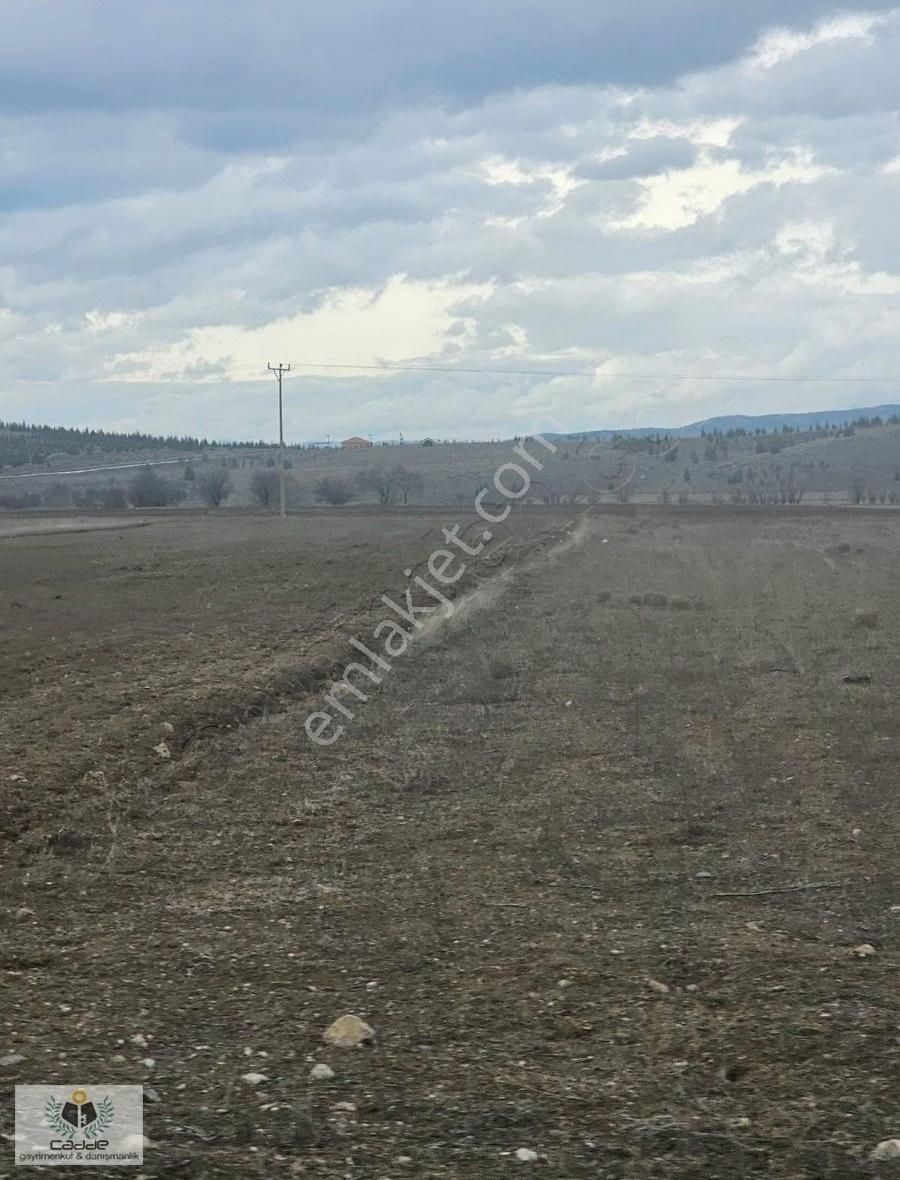 Burdur Yeşilovada Gençali Köyünde 1200 M2 Yatırımlık Tarla