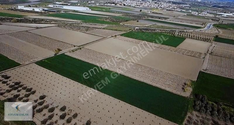 Kirvem Emlak'tan Koldere Mahallesinde Satılık Verimli Tarla