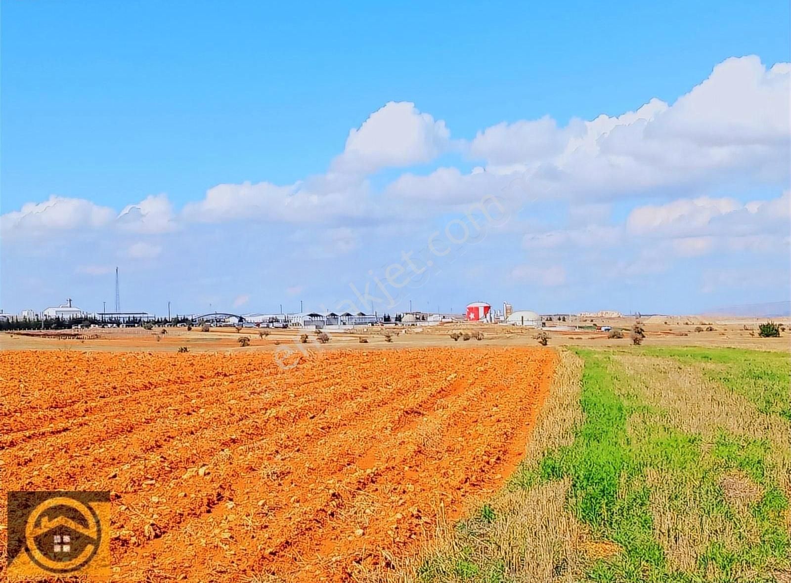 Ekon,dan Akçalar Tapulama 2175 M2 Yolu Olan Yatırıma Uygun Tarla
