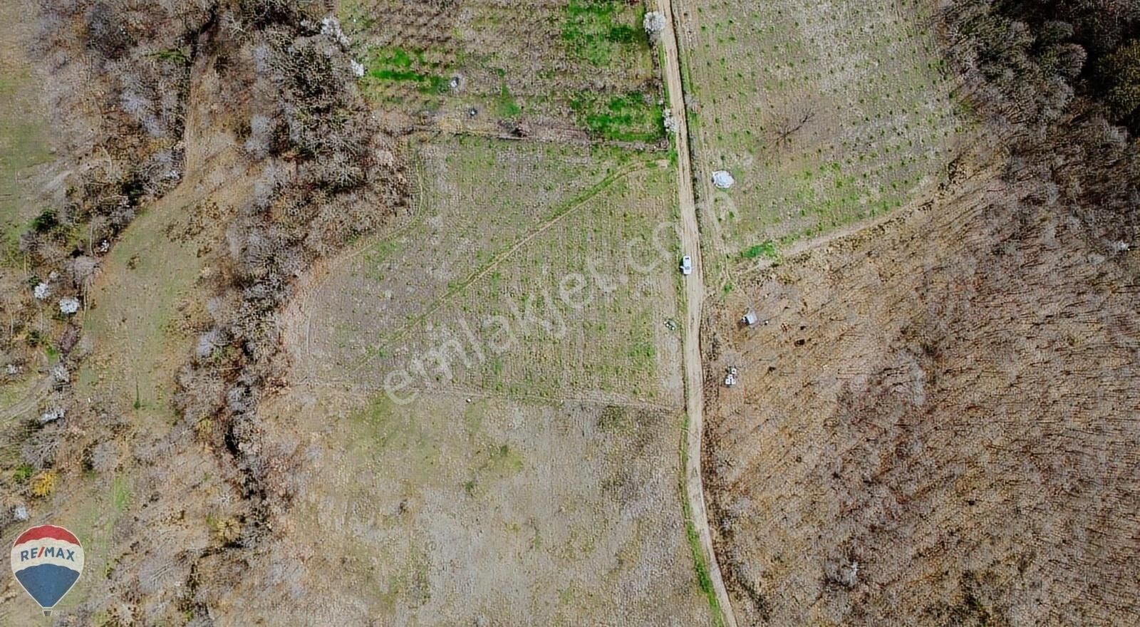 Remax Maviden Yeşilvadide 7860 M2 Doğa Manzaralı Tarla
