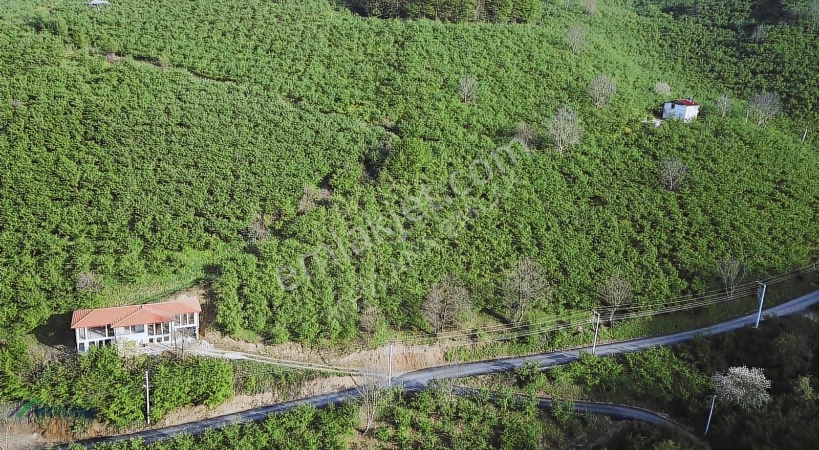 Mevlana Emlaktan Taşburun'da 5837 M² Yatırıma Uygun Arazi - Görsel 15