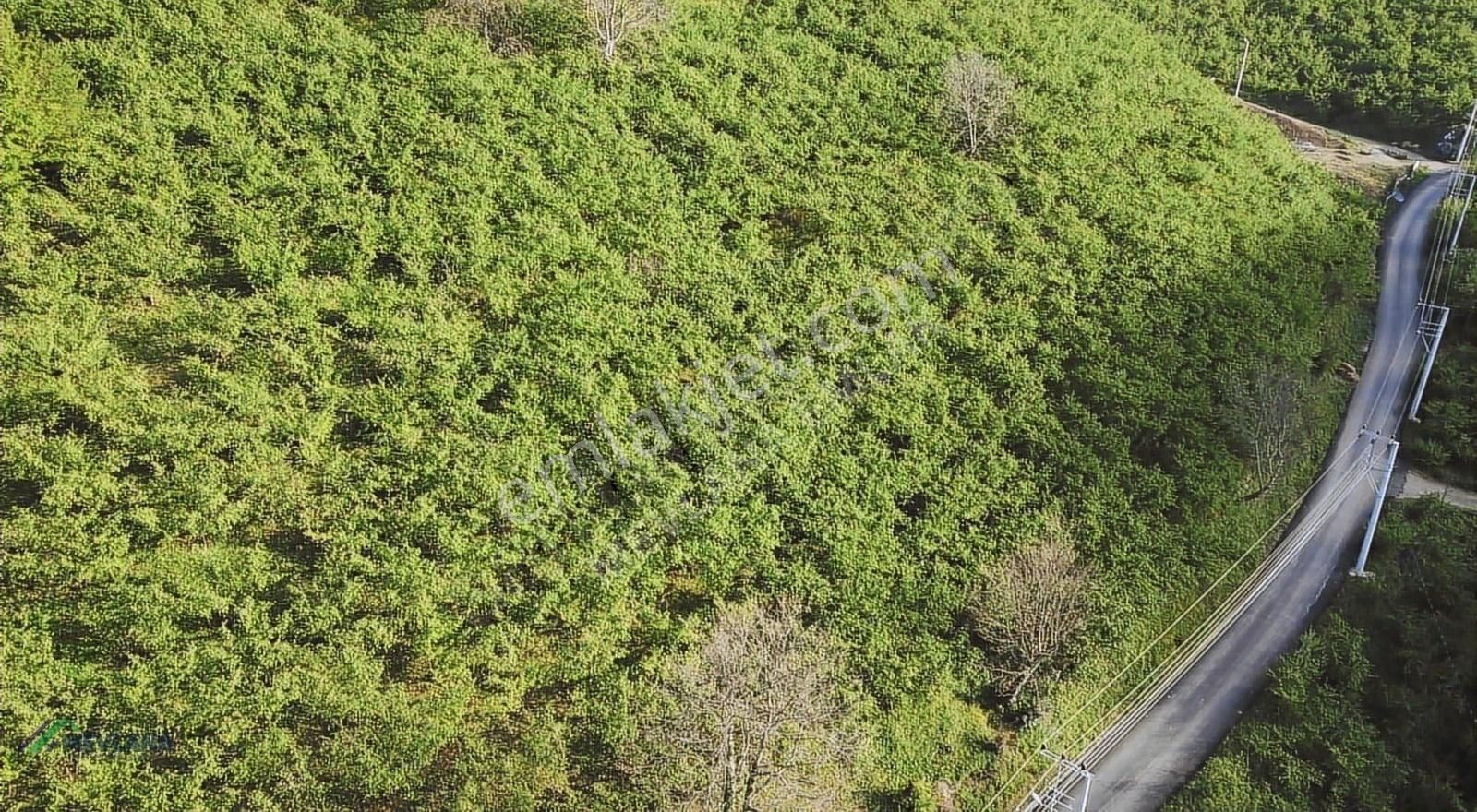 Mevlana Emlaktan Taşburun'da 5837 M² Yatırıma Uygun Arazi - Görsel 4