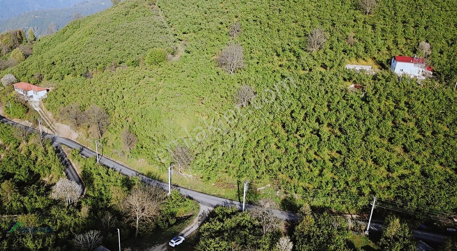 Mevlana Emlaktan Taşburun'da 5837 M² Yatırıma Uygun Arazi - Görsel 22