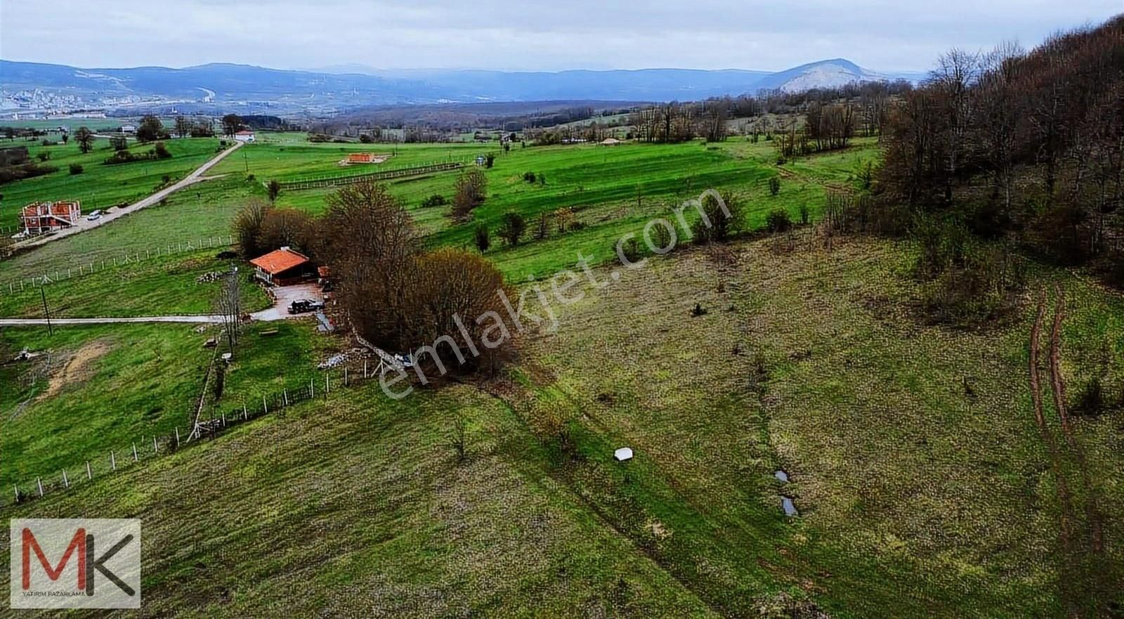 Kavak Duman Da Ormana Cephe Manzaralı 4153 M2 Tarla
