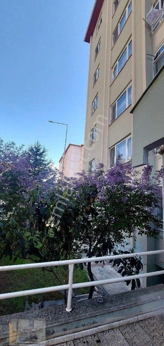 Ankara Sincan Yenikent Toki İlksan Konutlarında Yüksek Giriş 3+1 Satılık Daire