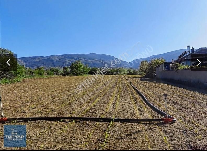 Turyap Söğütönü-osb'den Gedil De Satılık Bahçe 5800 M²