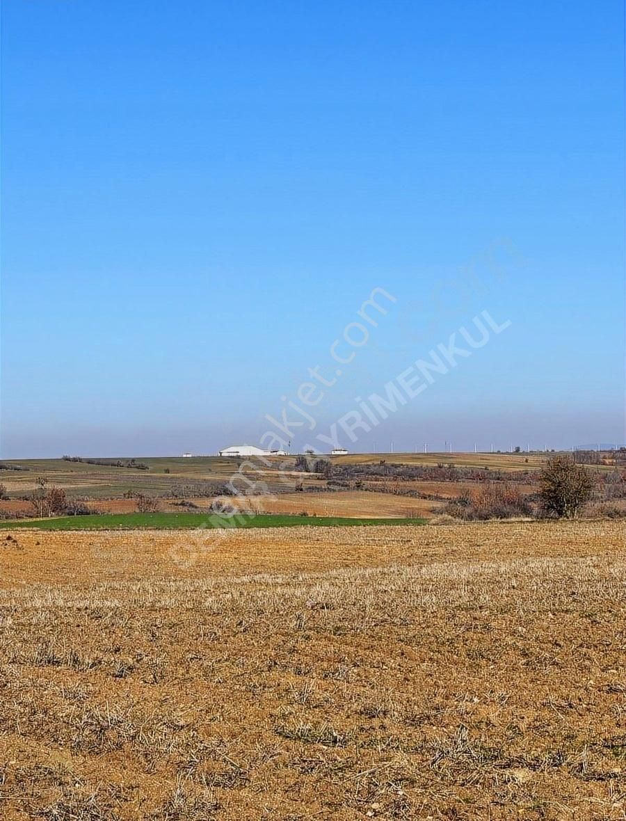 Kırklareli Merkez İlçesi Mütabık Tapu 1035 M2 3 Cephe Yolu Açık
