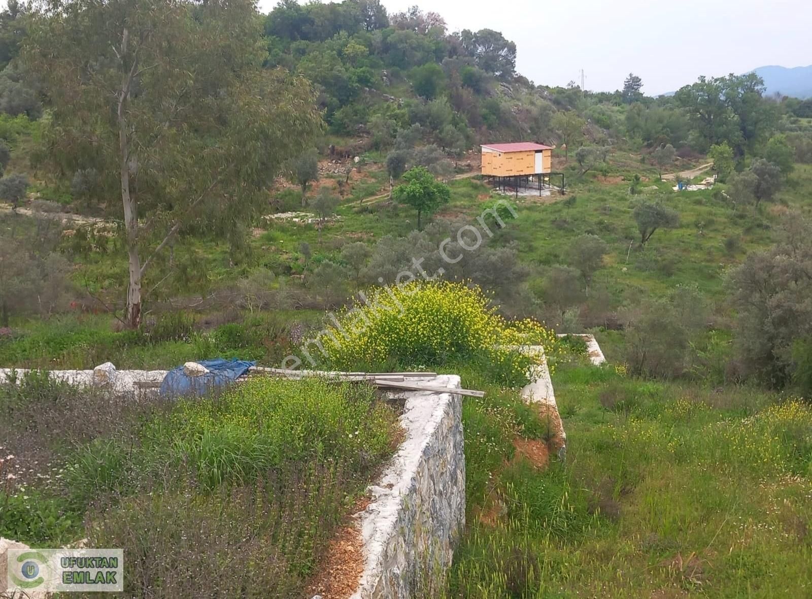 Ula Esentepe Satılık 1015 M2 Etrafı Taş Duvar İle Çevrili Tarla