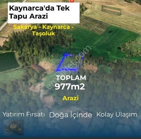 Sakarya Kaynarca 977m2 Tek Tapu Köy İçi İmarlı Arsa