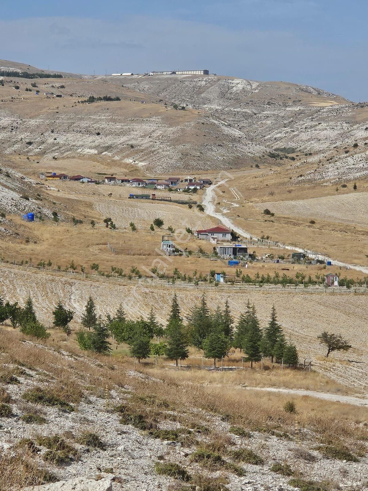 Bayram Gayrimenkulden Ayaş Tekke De 500 M2 Arsa Tapulu İmardan Geçmiş Satılık Bahçe