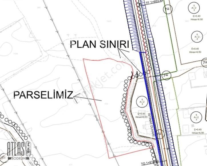 Beçin'de İmara Komşu Satılık Zeytinli Tarla