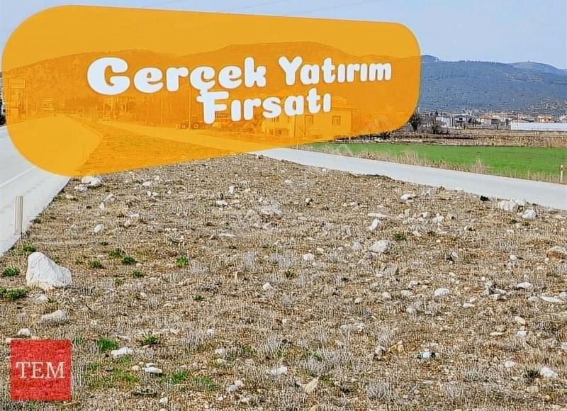 1500 M2 Kapalı Alan Yapabileceğiniz Asfalt Cepheli Arsa. - Görsel 4
