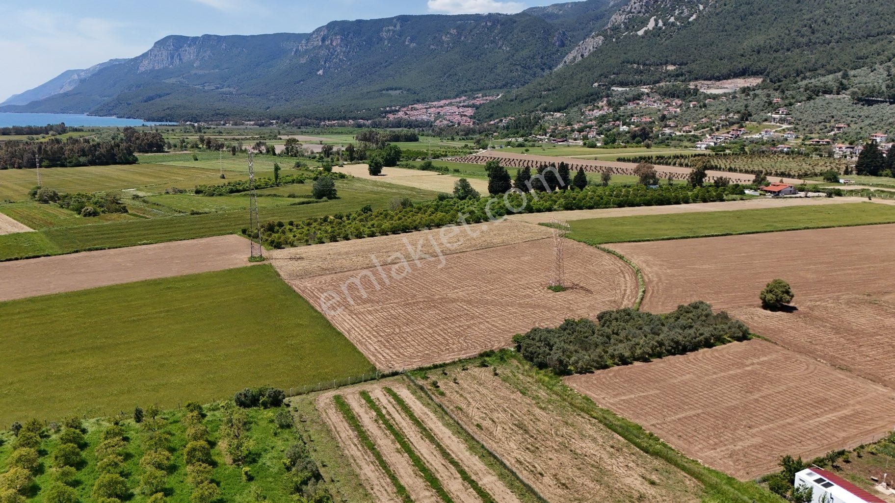 Muğla Ula Gökova’da Satılık Tarla. - Görsel 3