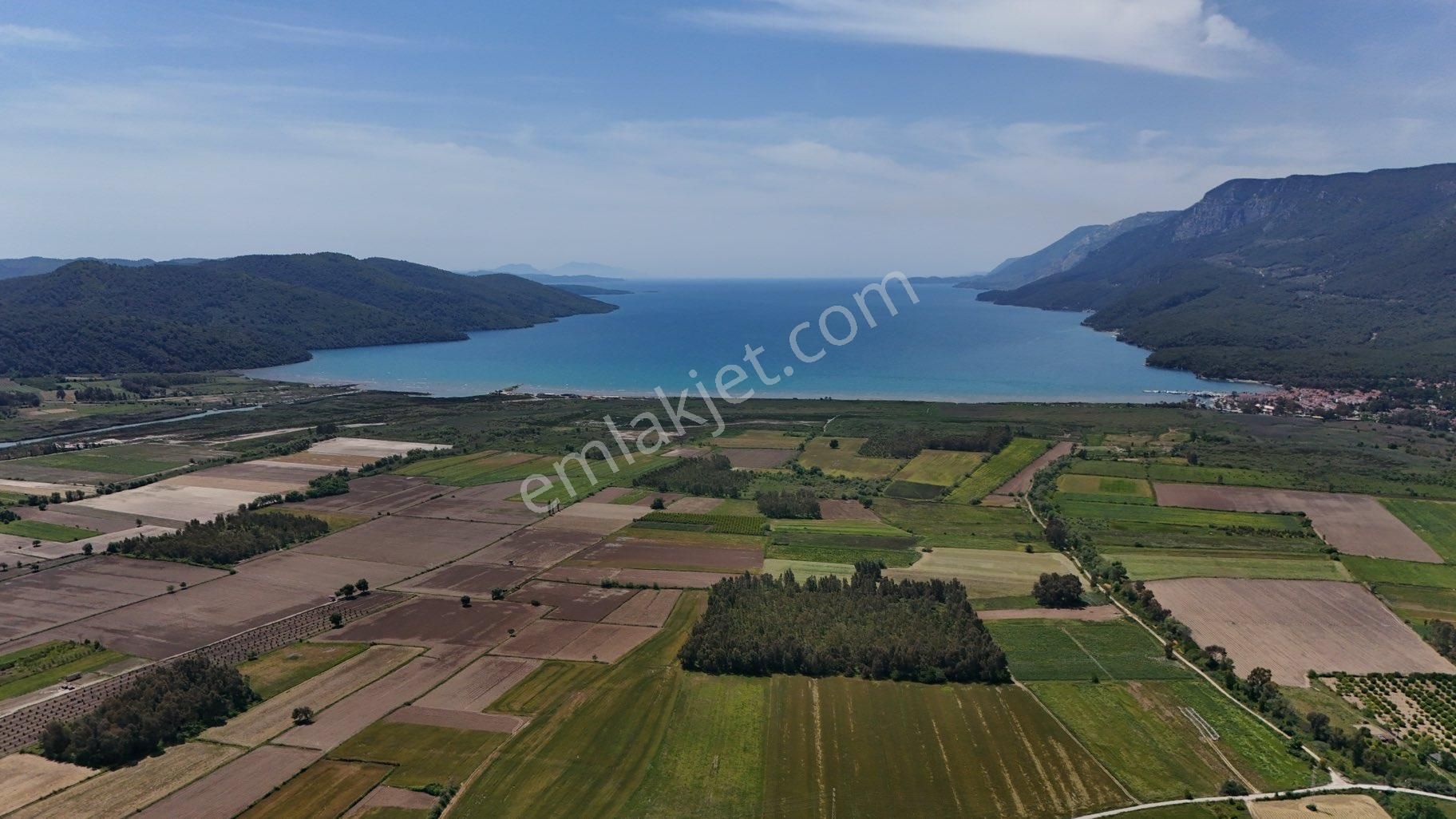 Muğla Ula Gökova’da Satılık Tarla. - Görsel 10