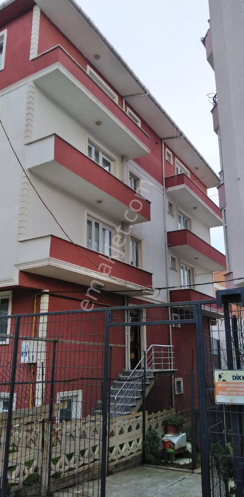 Süper Daire