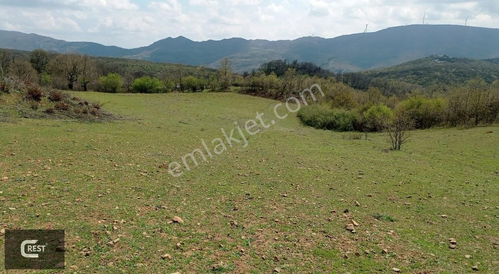 Crest Yatırımdan Balıkkesir Yazörende 22.700 M2 Tarla