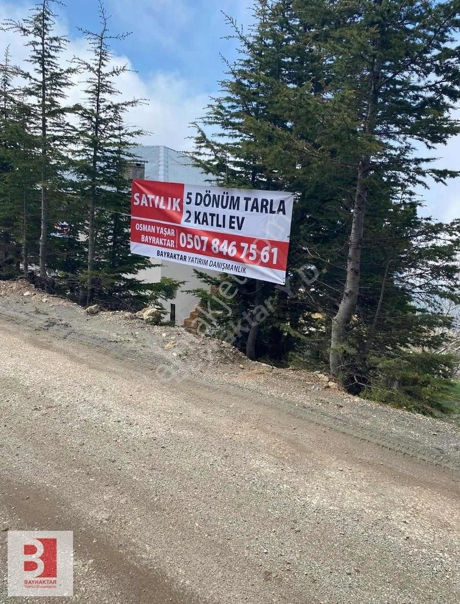 Gazipaşa'da 5 Dönüm Fırsat Arsa - Görsel 6