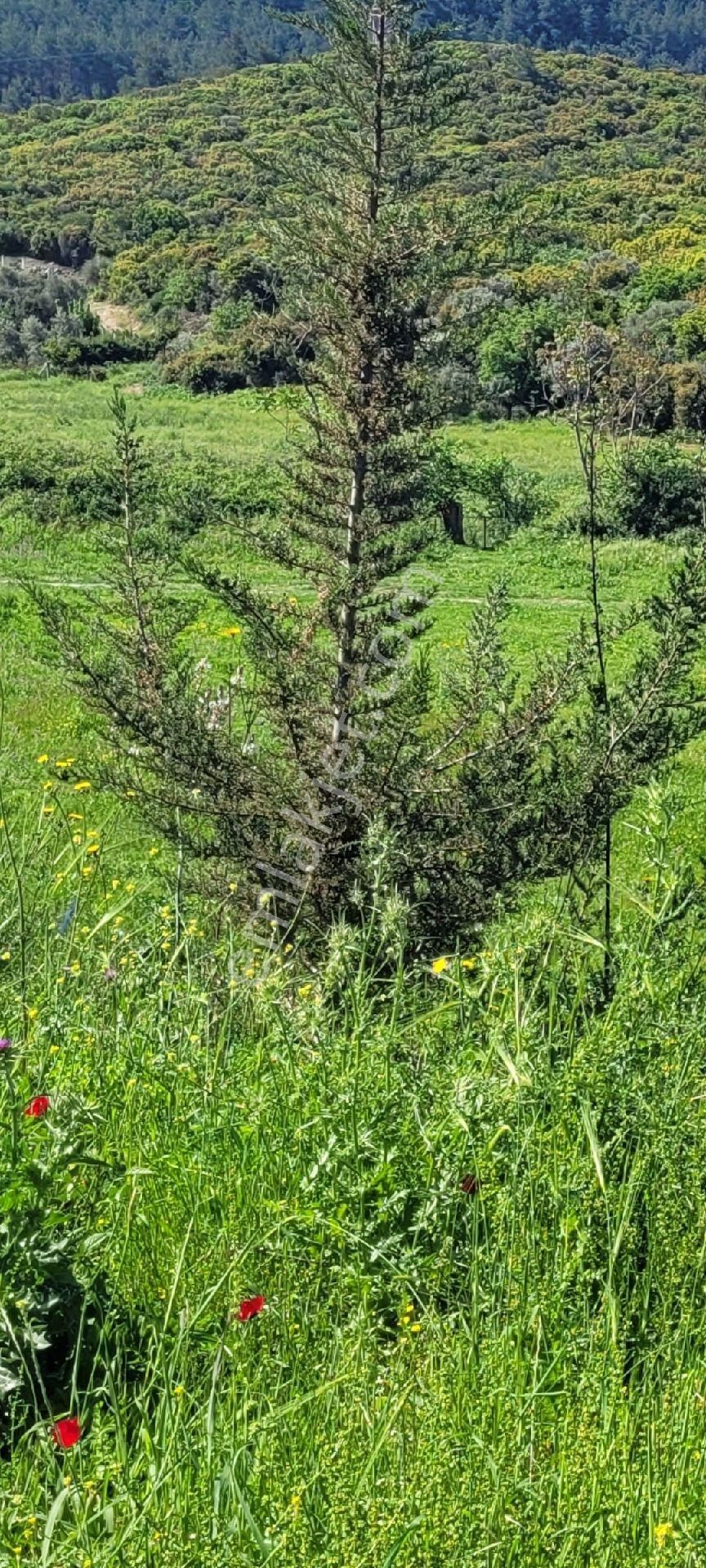 Yeniköyde 12.000 Metre