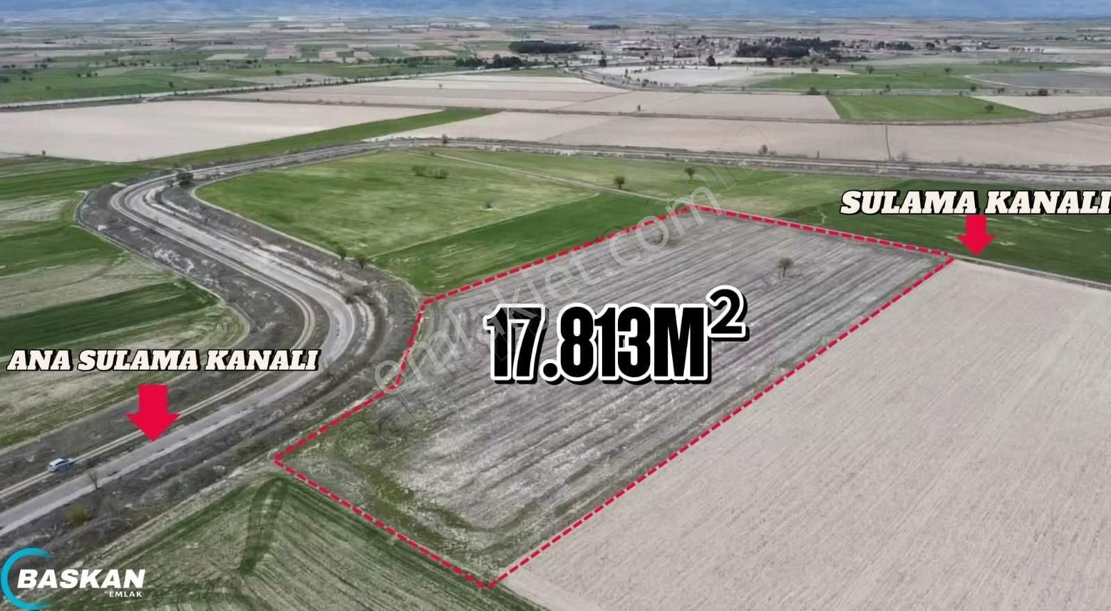 Baklan Konakta Sulak 17.813 M2 Satılık Tarla