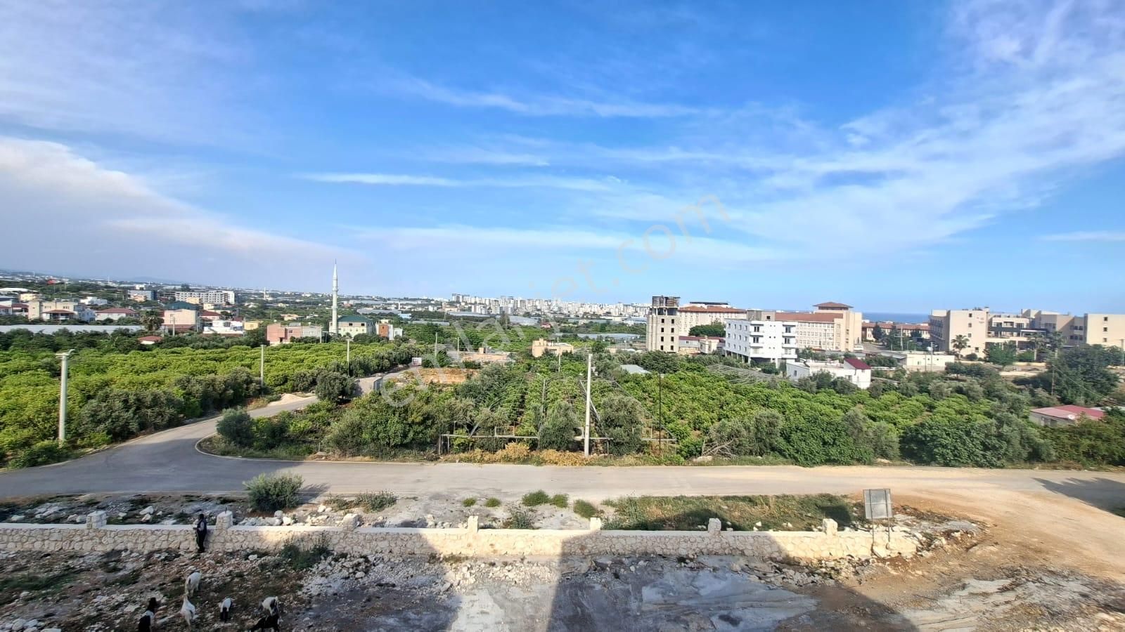 Nova Gayrimenkul Den Şehrin Gürültüsünden Uzak 3+1 Ultra Lüks Satılık Villalar. - Görsel 32