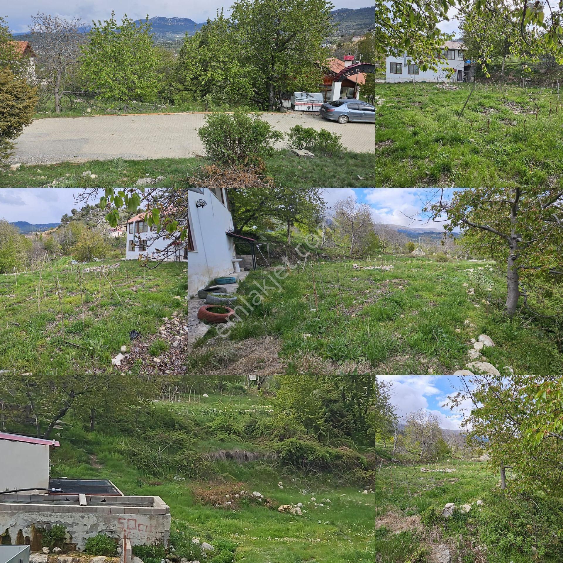 ✨ Yatırım Fırsatı – Arslanköy'de Satılık Arazi ✨📍 - Görsel 2