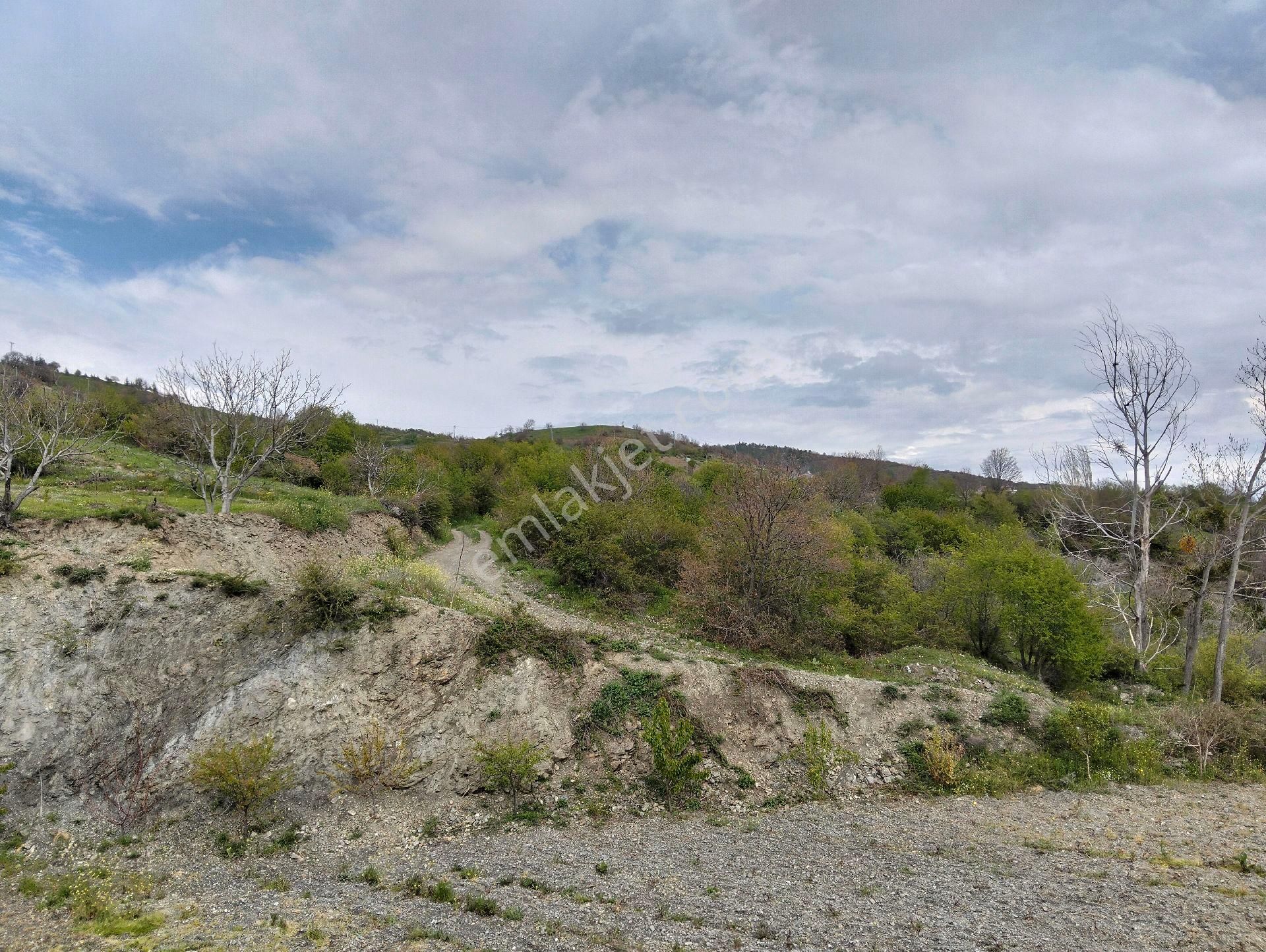 Tokat Merkez Emirseyit Beldesinde Bozatalan Mahal. Ev İçerisinde Satlık Tarla - Görsel 17