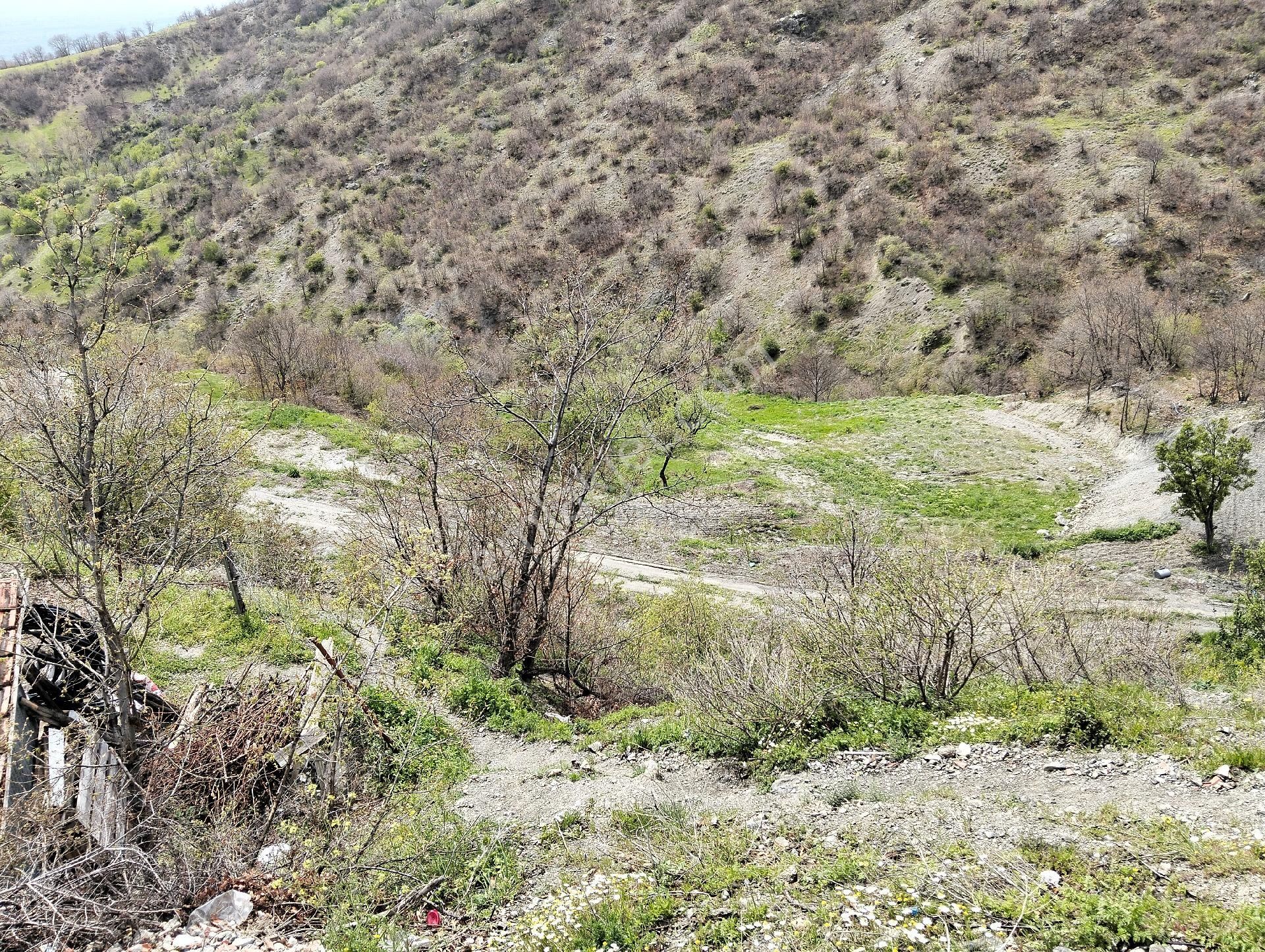 Tokat Merkez Emirseyit Beldesinde Bozatalan Mahal. Ev İçerisinde Satlık Tarla - Görsel 4