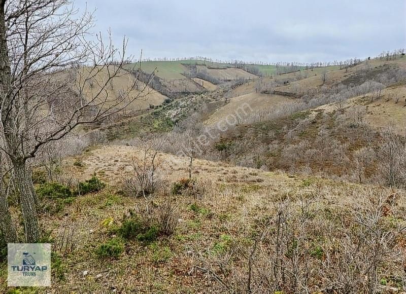 Çanakkale Biga Elmalı Köyünde 11.827 M² Satılık Tarla