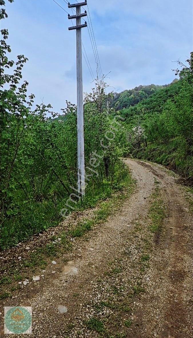 Altınköşe Emlak 'tan 3.428 M2 Köy İçi İmarlı Arsa..