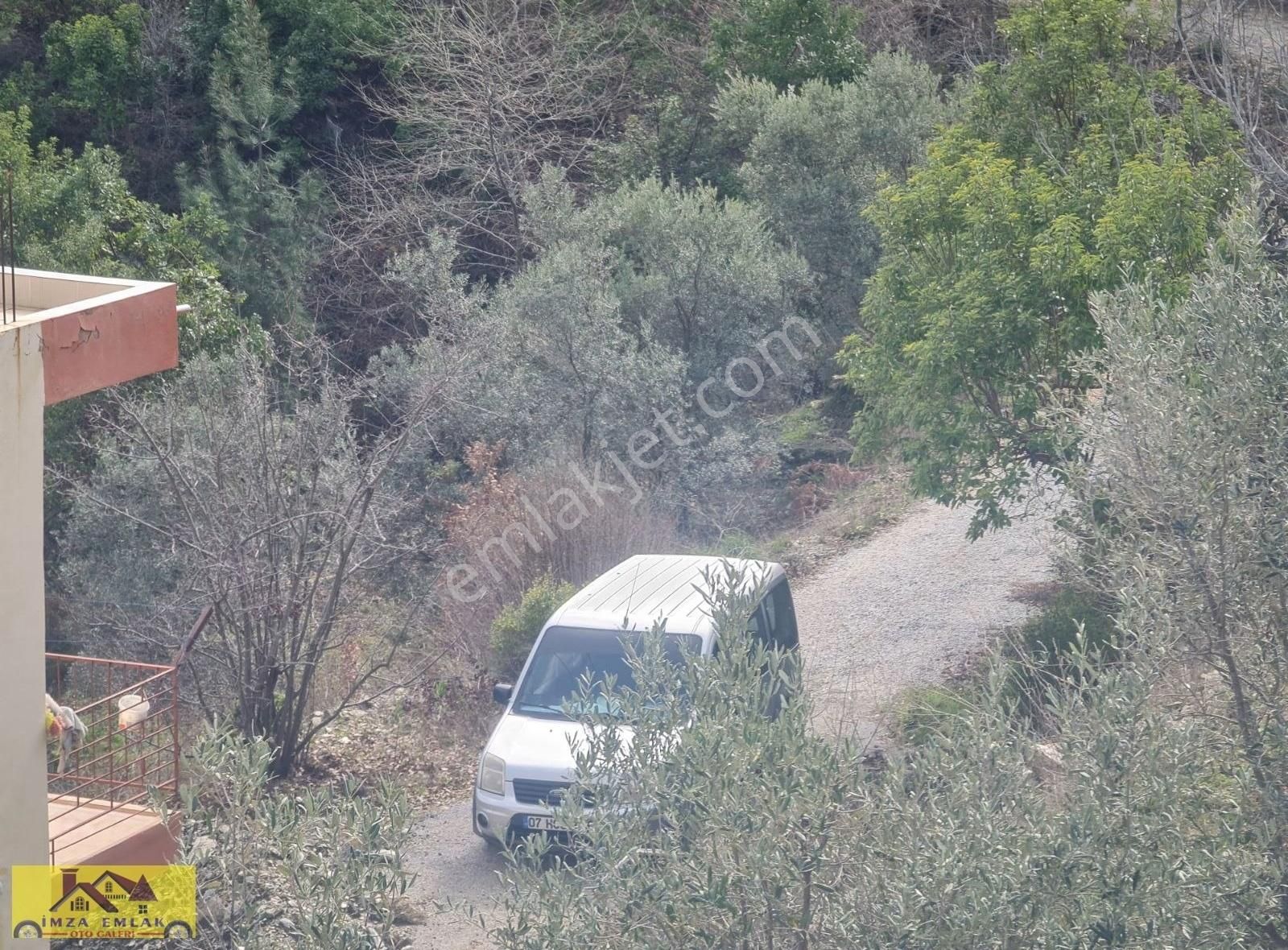 Alanya Satılık Verimli Tarla - Görsel 8