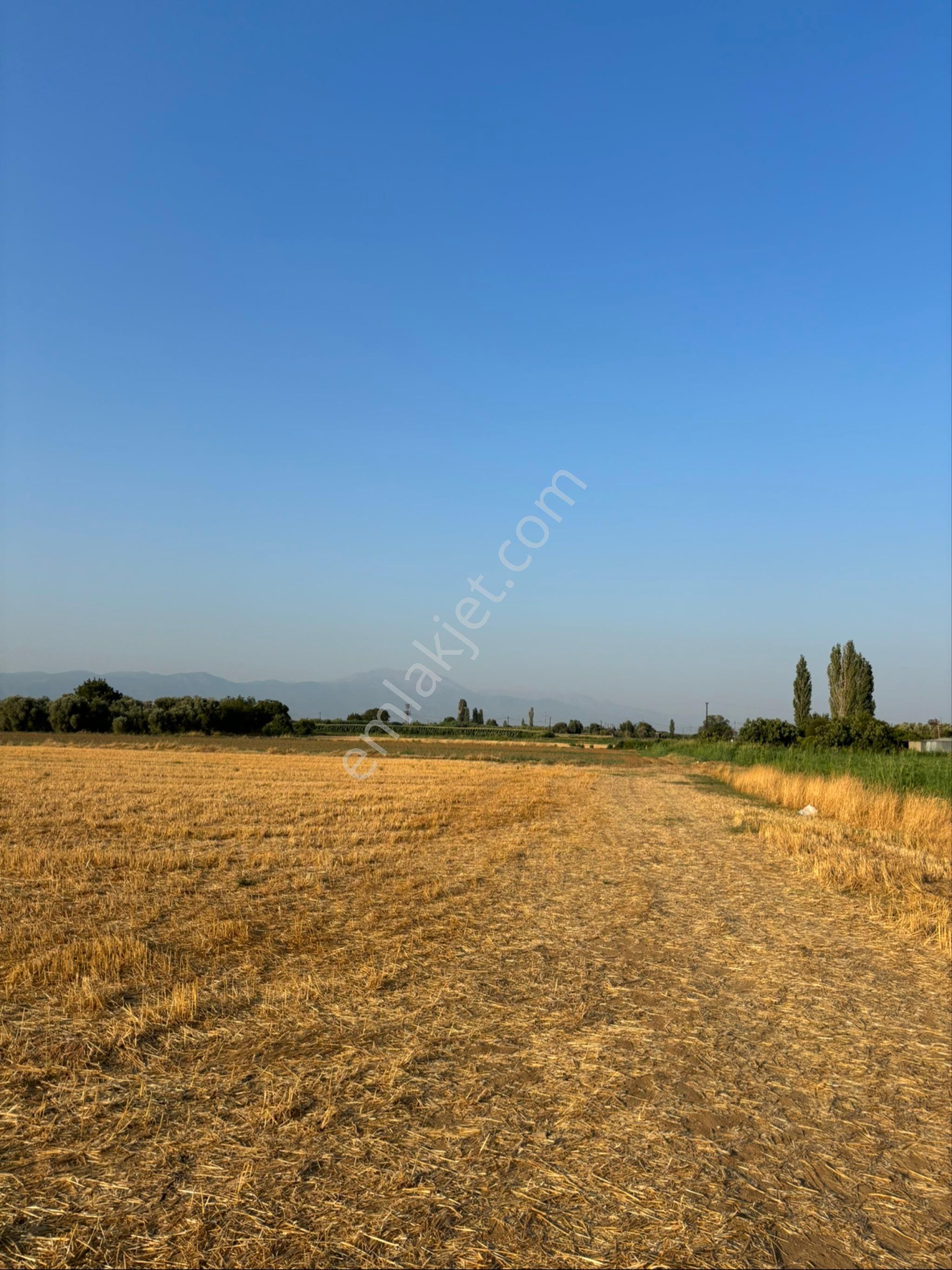 Kahratta Satılık Tarla