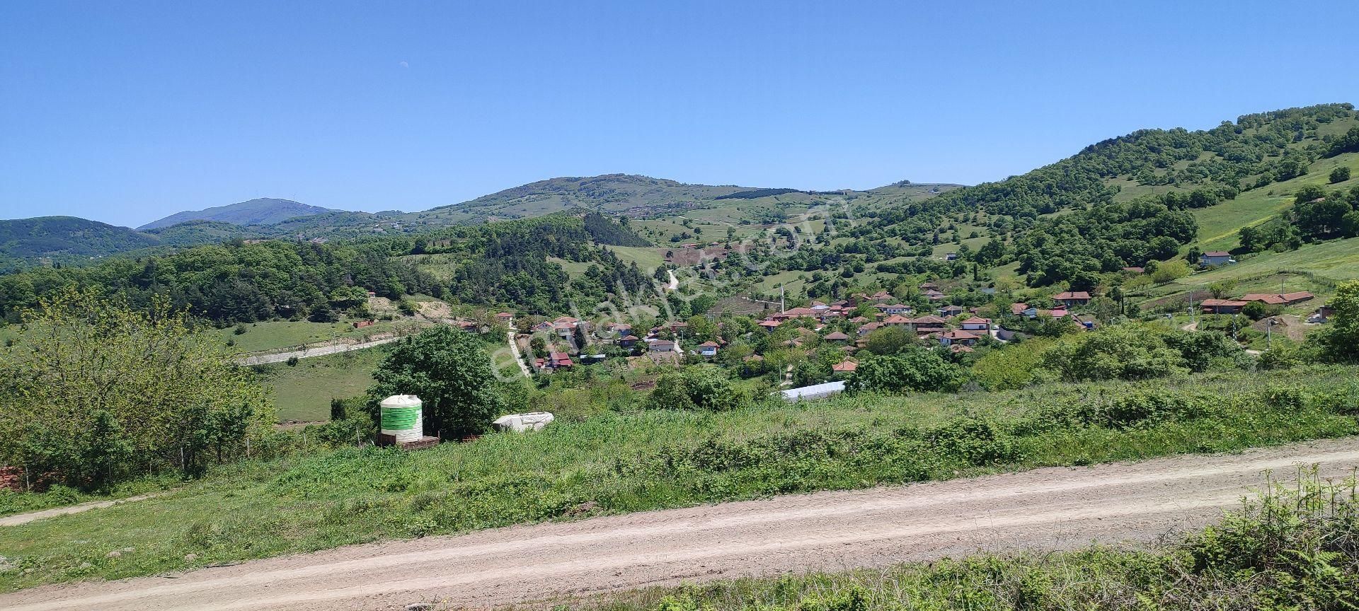 Karamürsel Çamdibi Mahallesi'nde Resmi Yola Cephe Satılık 6291 M2 Satılık Tarla