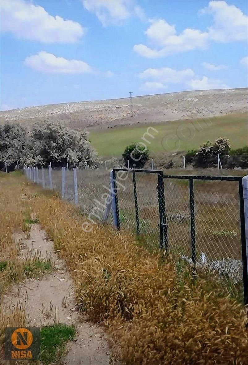 Nisa'dan Meram Pamukçuda Satılık Hesaplı Bahçe Yeri