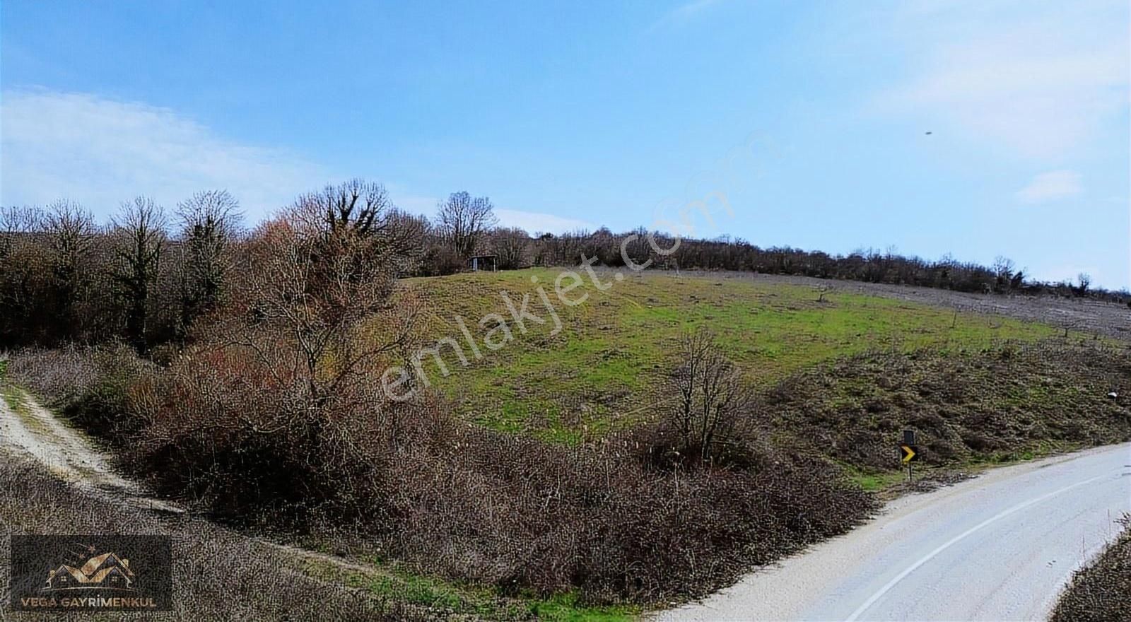 Eşkel Asfaltına Cephe Satılık Tarla
