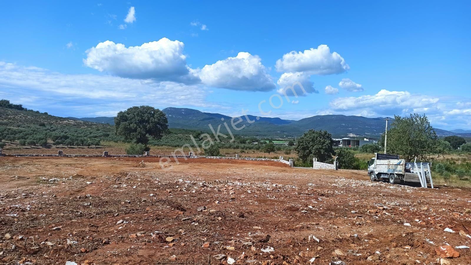 Menderes Çakal Tepede Satılık 3530 M² Tek Tapu Tarla Satılık