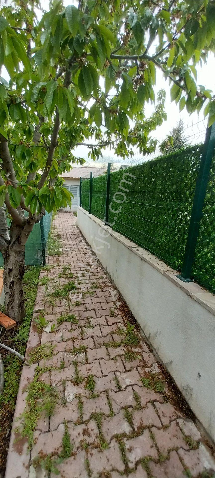 Kayseri Melikgazi Egribucak Kiralık Hobi Bahçesi Mustakil Taş Ev - Görsel 3