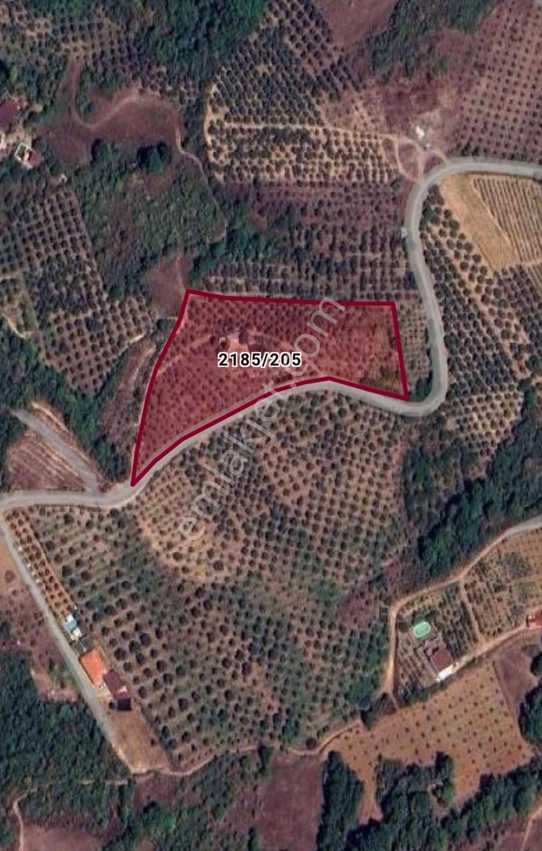 *iznik Şerefiye Mahallesinde 10.962 M² Satılık Verimli Arazi - Görsel 20