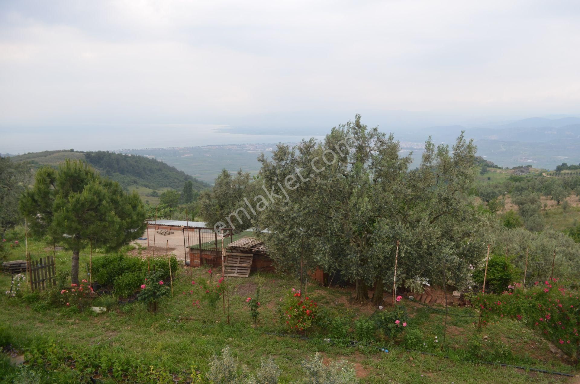 *iznik Şerefiye Mahallesinde 10.962 M² Satılık Verimli Arazi - Görsel 15