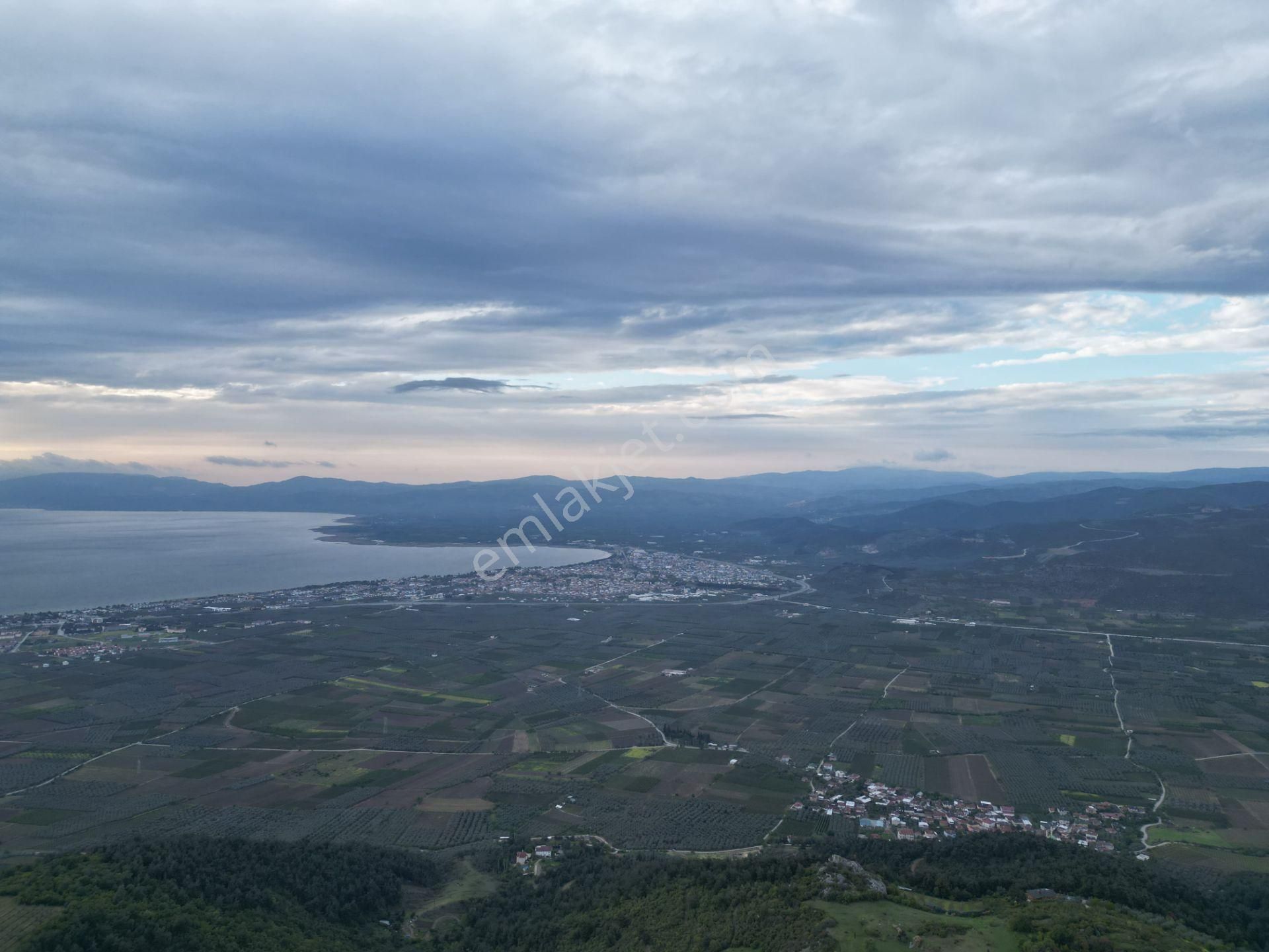 *iznik Şerefiye Mahallesinde 10.962 M² Satılık Verimli Arazi - Görsel 5