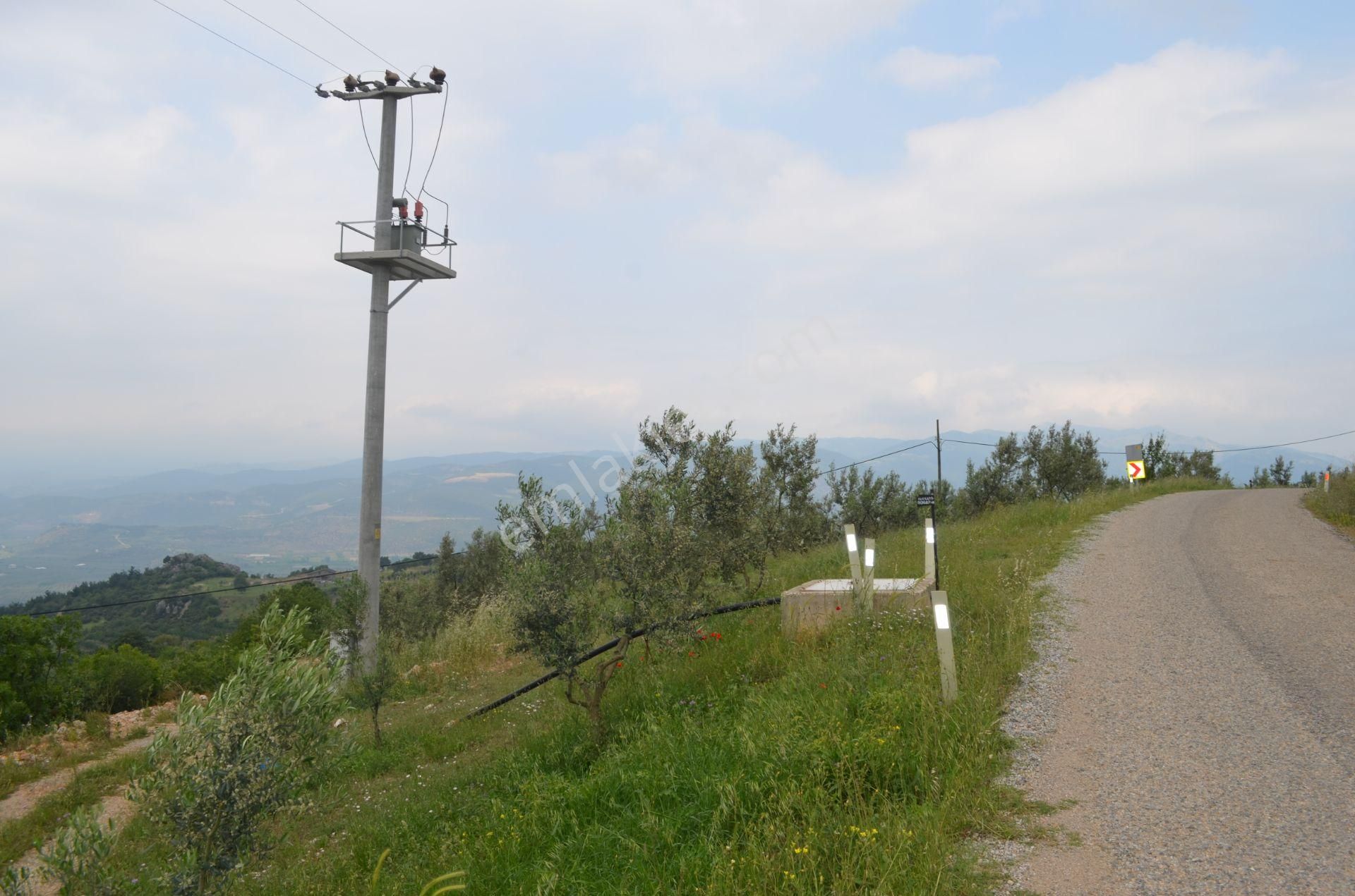 *iznik Şerefiye Mahallesinde 10.962 M² Satılık Verimli Arazi - Görsel 19