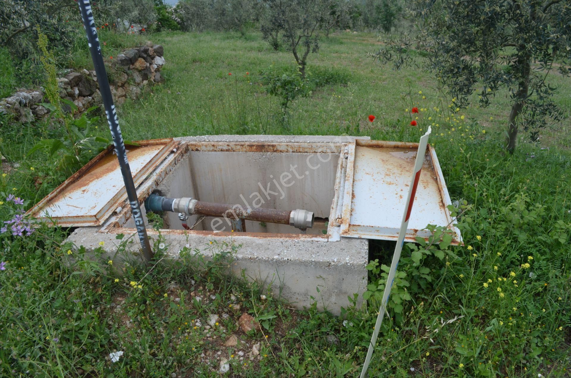 *iznik Şerefiye Mahallesinde 10.962 M² Satılık Verimli Arazi - Görsel 14